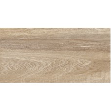 Плитка настенная 50x24.9 Alma Ceramica Euphoria TWU2550EPH40