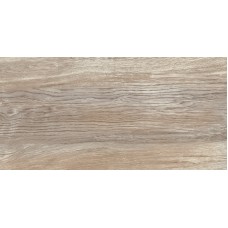 Плитка настенная 50x24.9 AltaCera Detroit Wood WT9DET08