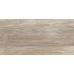 Плитка настенная 50x24.9 AltaCera Detroit Wood WT9DET08