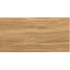 Плитка настенная 50x24.9 AltaCera Portland Dark WT9POT21