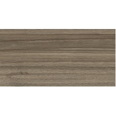 Плитка настенная 50x24.9 New Trend Essense Brown WT9ESS08