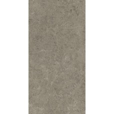 Керамогранит 240x120 Atlas Concorde Marvel Meraviglia Grigio Elegante Lappato 9 mm AJIA