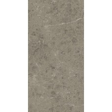 Керамогранит 120x60 Atlas Concorde Marvel Meraviglia Grigio Elegante Matt 9 mm AJIU