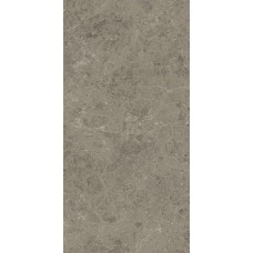 Керамогранит 120x60 Atlas Concorde Marvel Meraviglia Grigio Elegante Lappato 9 mm AJHW