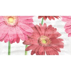 Плитка декор Ceradim Gerbera КПН16GerberaA розовый глянцевая глазурованная 45x25