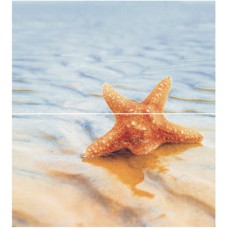 Плитка панно Ceradim Starfish КПН16Starfish1 разноцветный глянцевая глазурованная 50x45