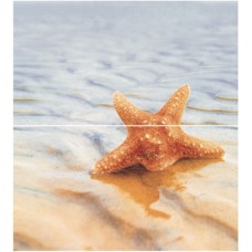 Плитка панно Ceradim Starfish разноцветный глянцевая глазурованная 50x45