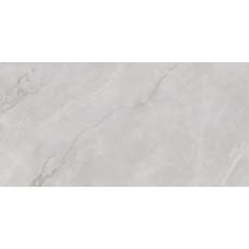 Керамогранит Infinity Ceramica 120x60 ASTONIA Silver Glossy Silver Line полированная c карвинг эффектом