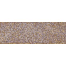 Керамогранит 10x3.7 Wow Love Affairs Accent Beige Raku 116957