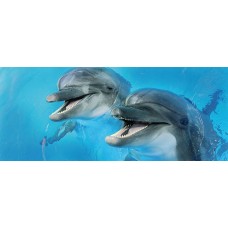 Плитка декор Cerrol Porto Dolphins голубой глянцевая глазурованная 60x25